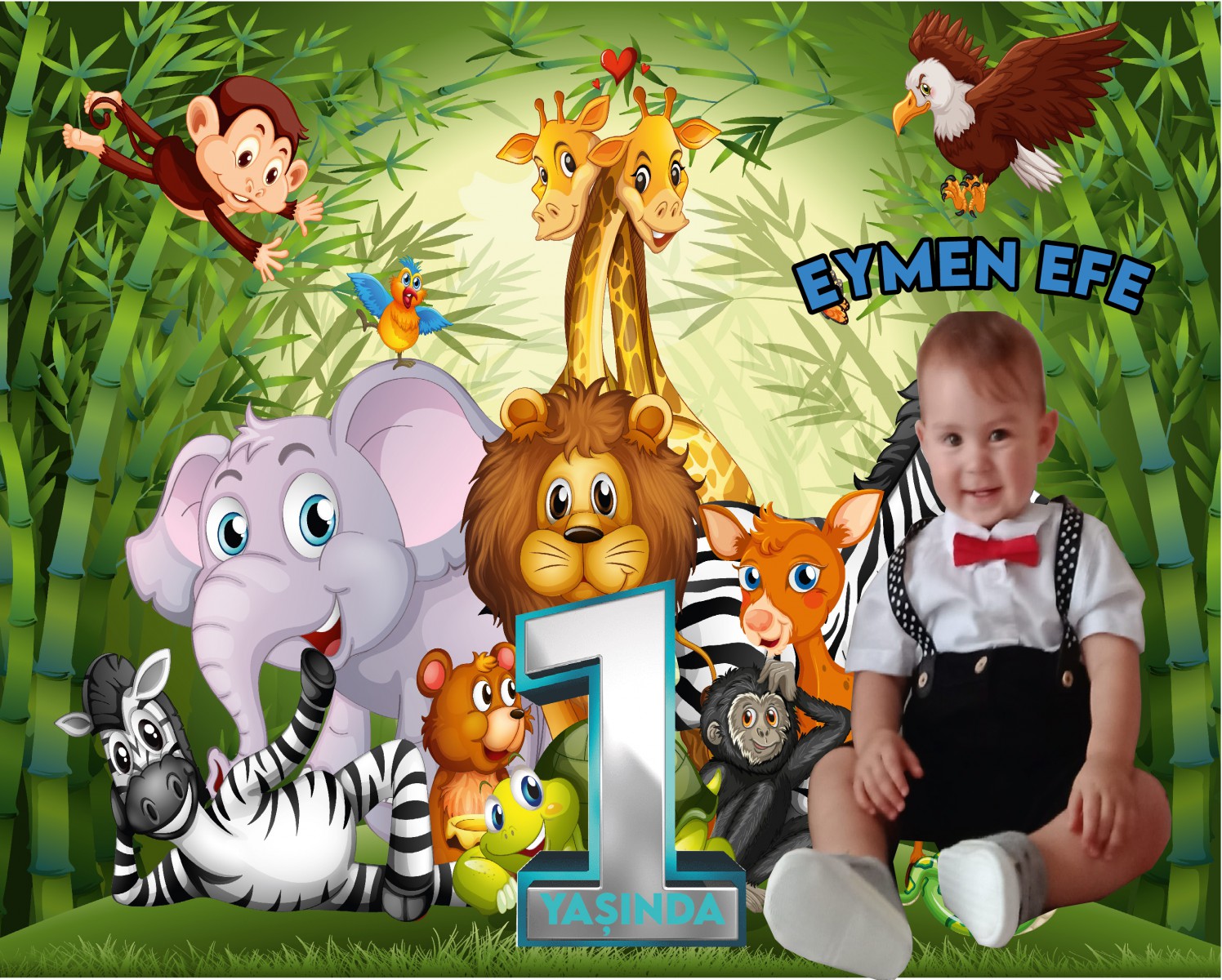 Doğum Günü Afişi Doğum Günü Afişi